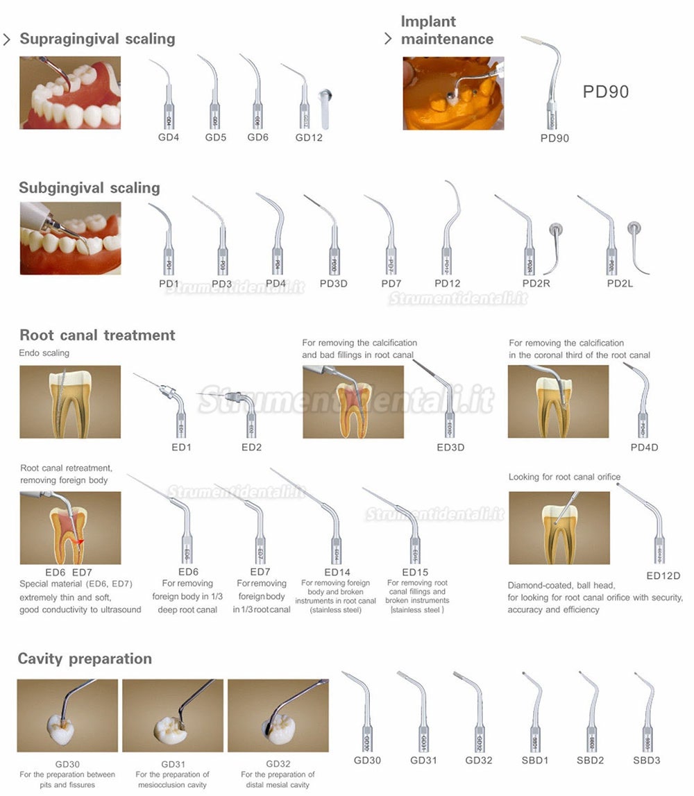 Woodpecker® DTE D7 Ablatore ad ultrasuoni